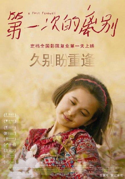 南布列塔尼大学理工科文凭证书